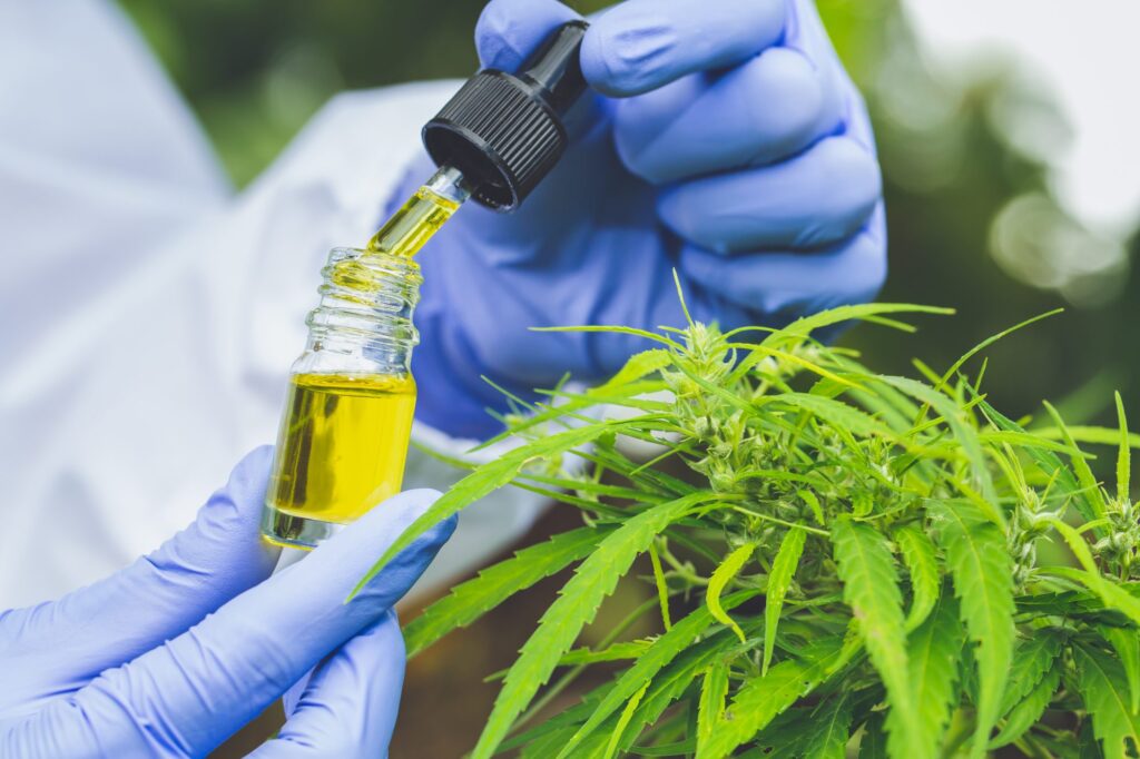 Benefits of CBD Oil for Older Adults